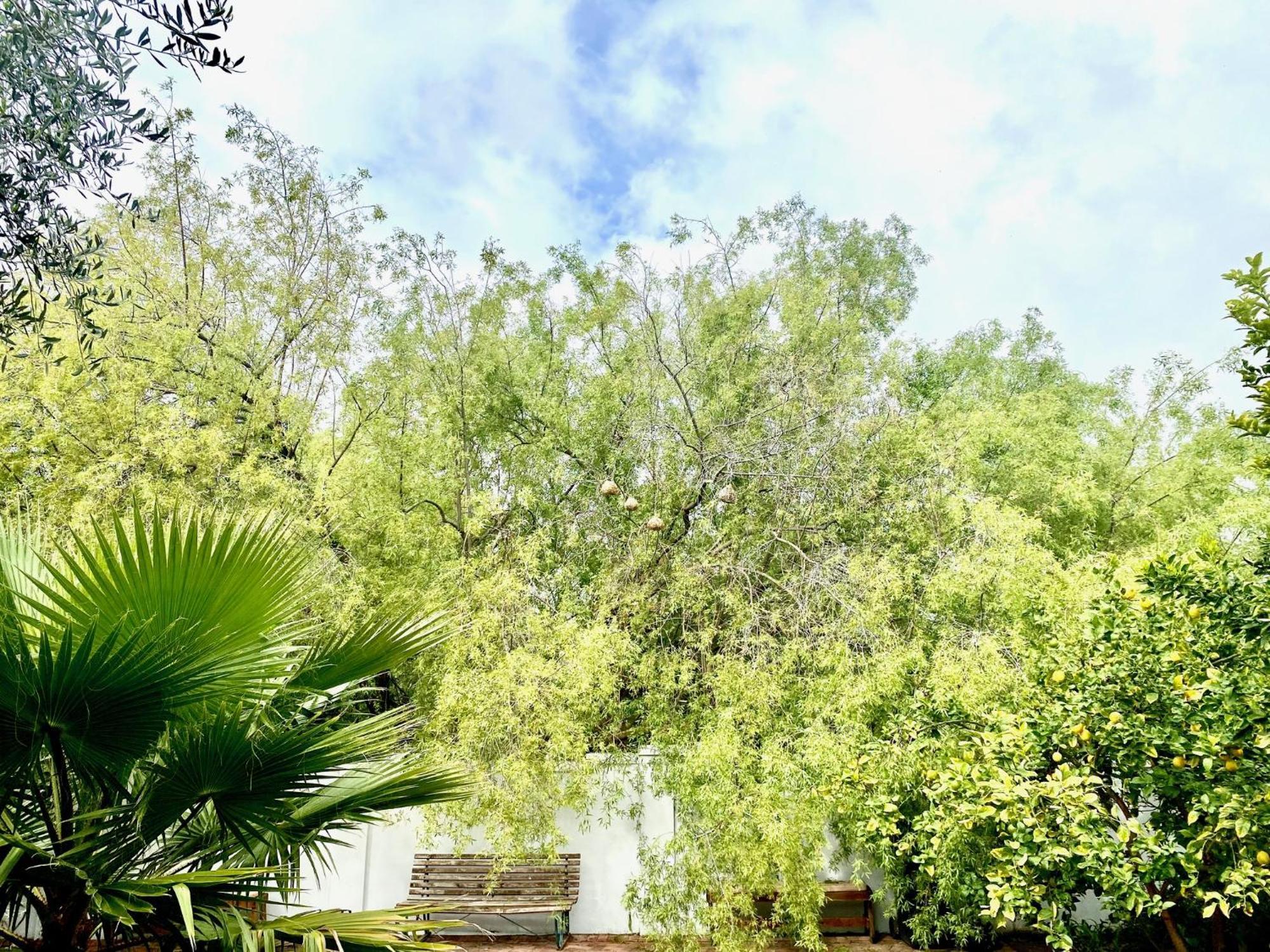 1 Royal Street Guesthouse Riebeek-Kasteel Dış mekan fotoğraf