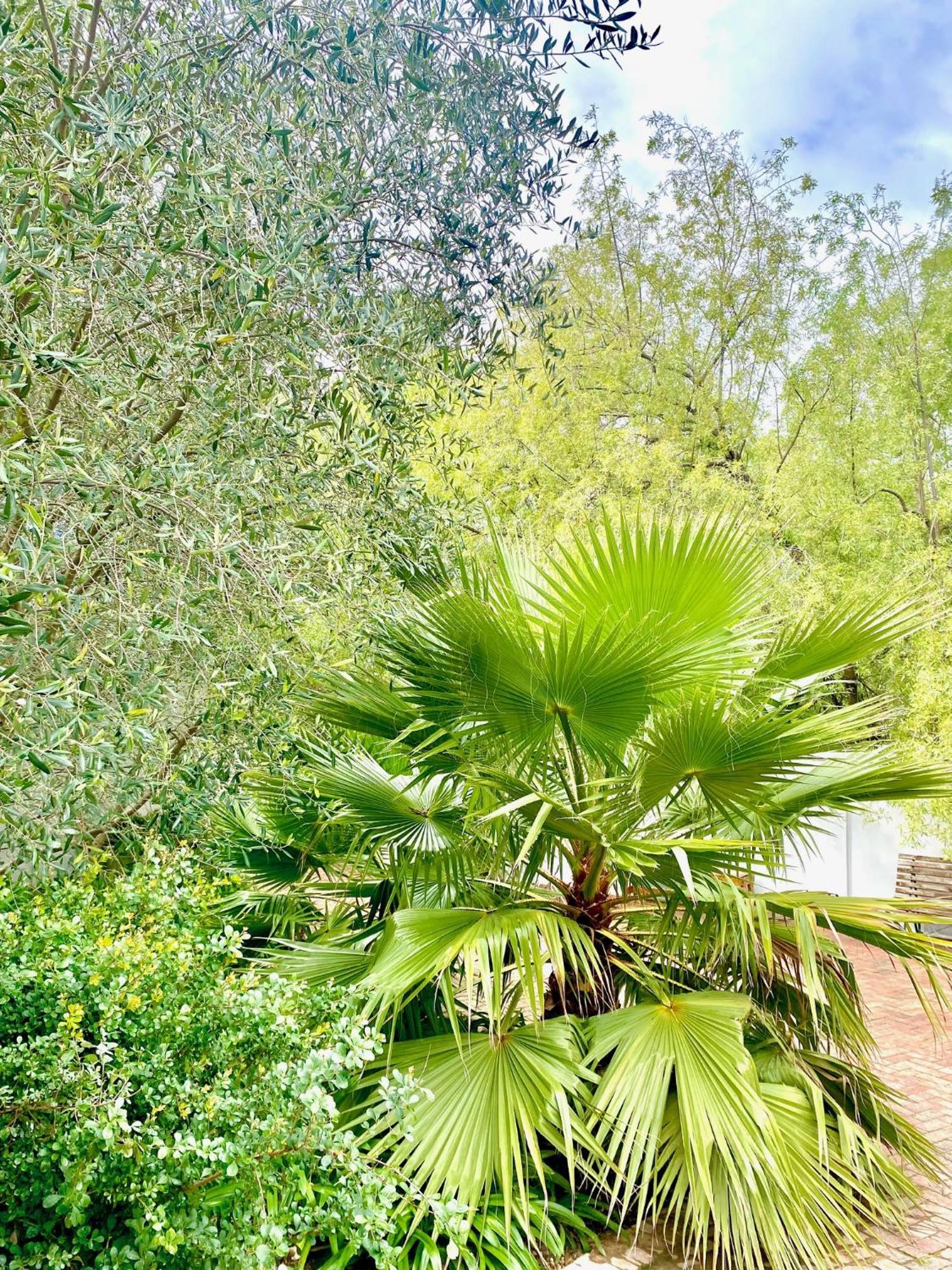 1 Royal Street Guesthouse Riebeek-Kasteel Dış mekan fotoğraf