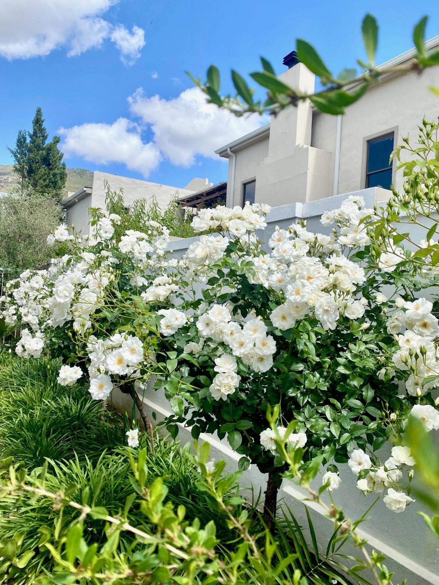 1 Royal Street Guesthouse Riebeek-Kasteel Dış mekan fotoğraf