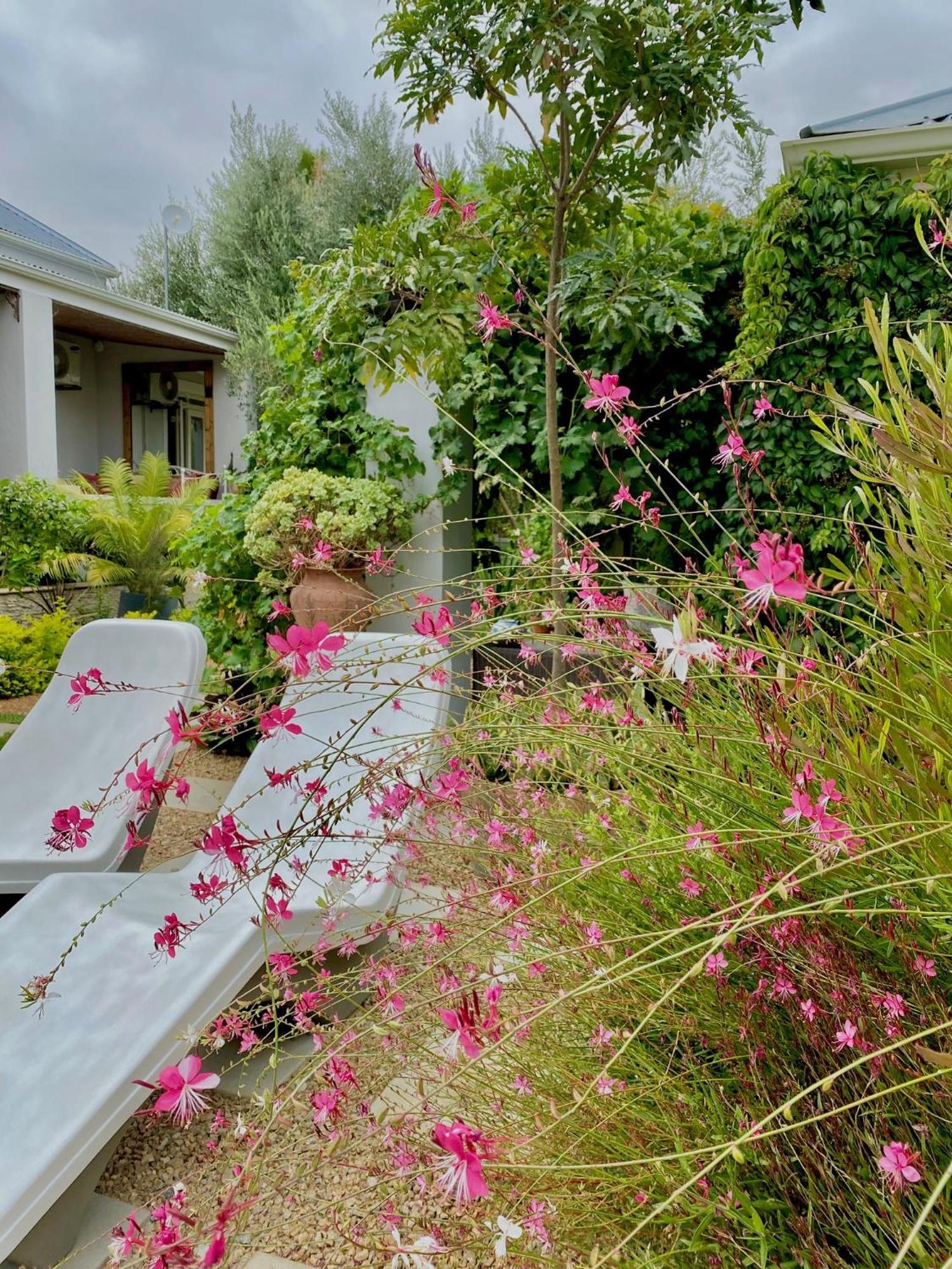 1 Royal Street Guesthouse Riebeek-Kasteel Dış mekan fotoğraf
