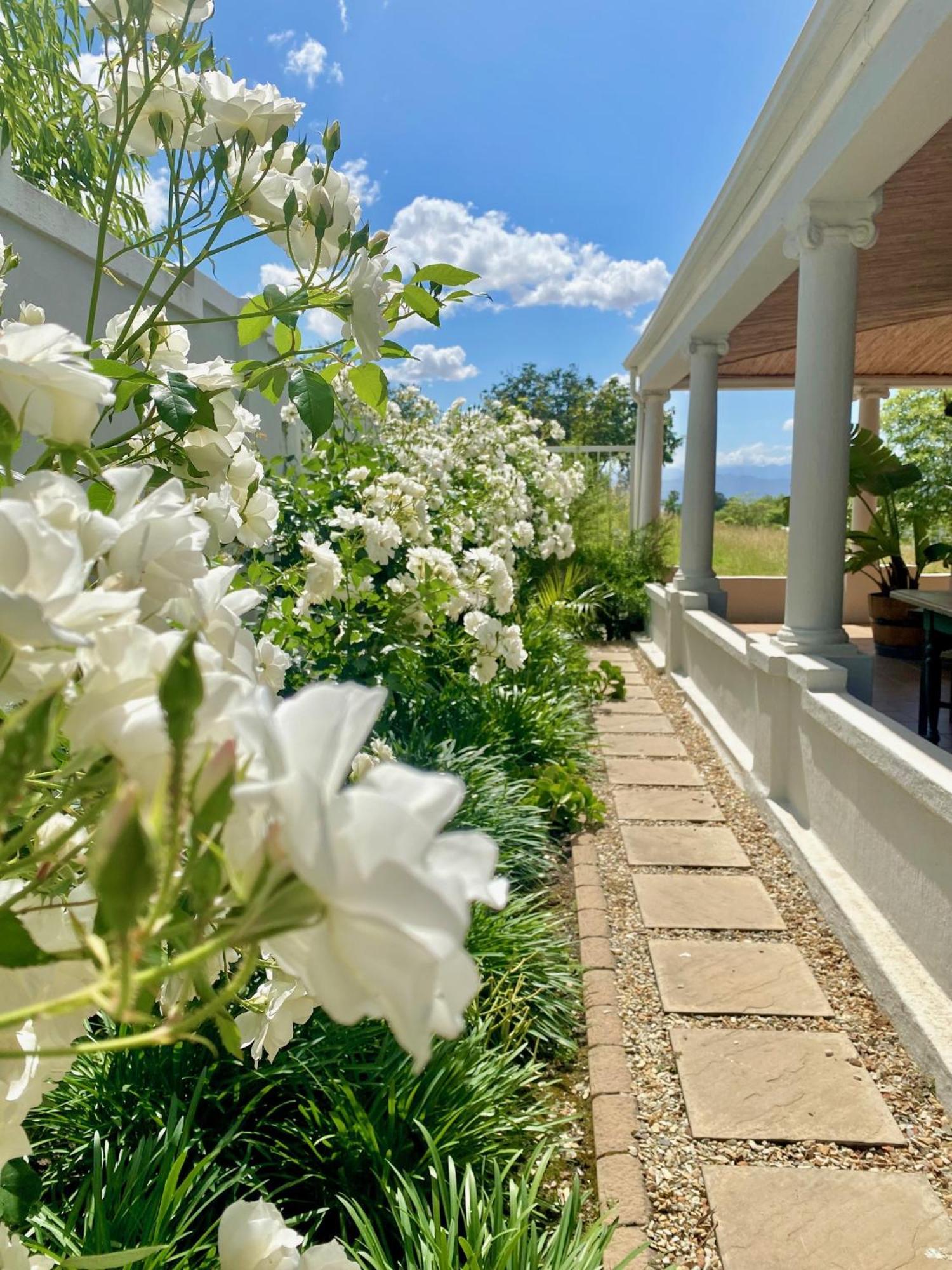 1 Royal Street Guesthouse Riebeek-Kasteel Dış mekan fotoğraf