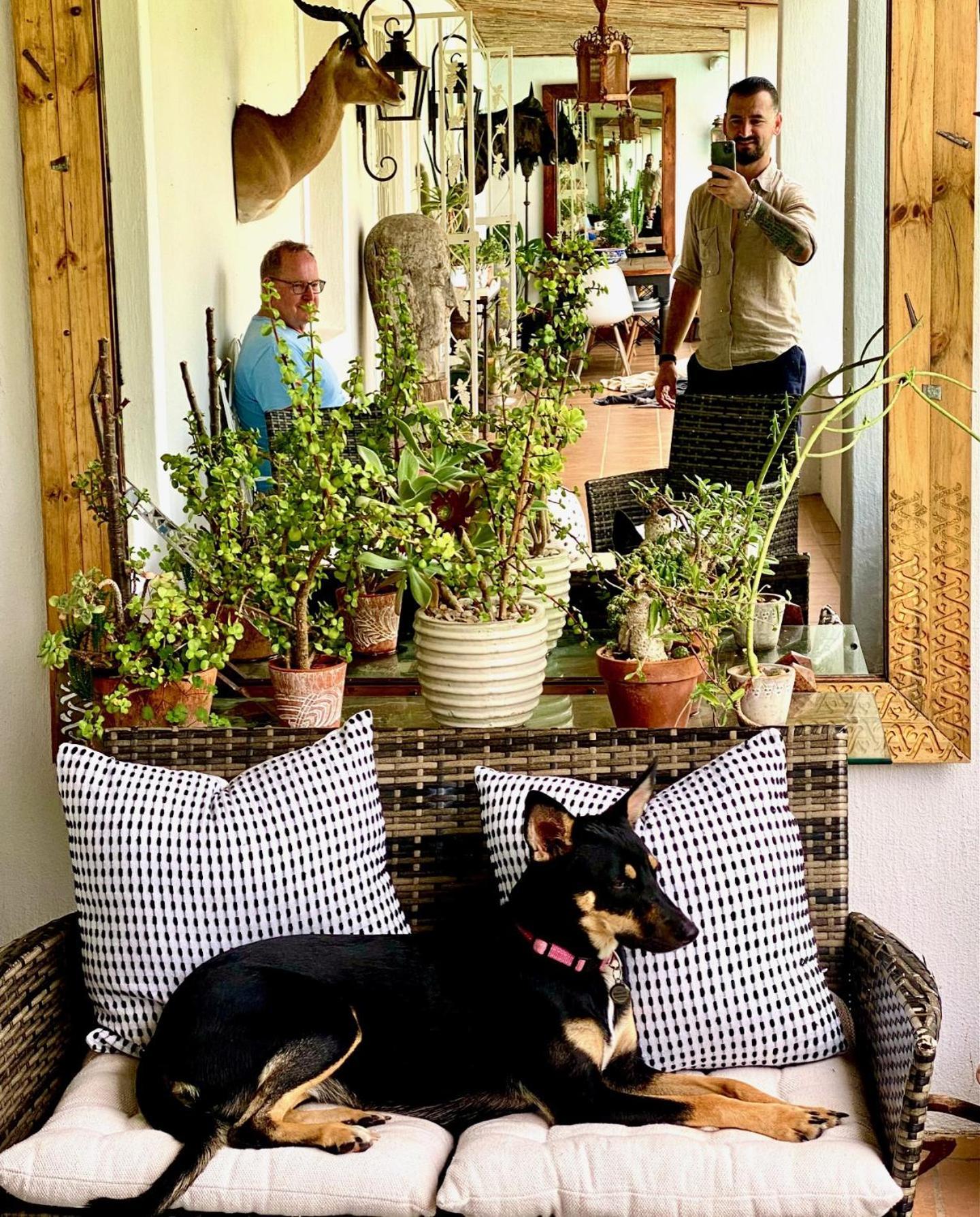 1 Royal Street Guesthouse Riebeek-Kasteel Dış mekan fotoğraf