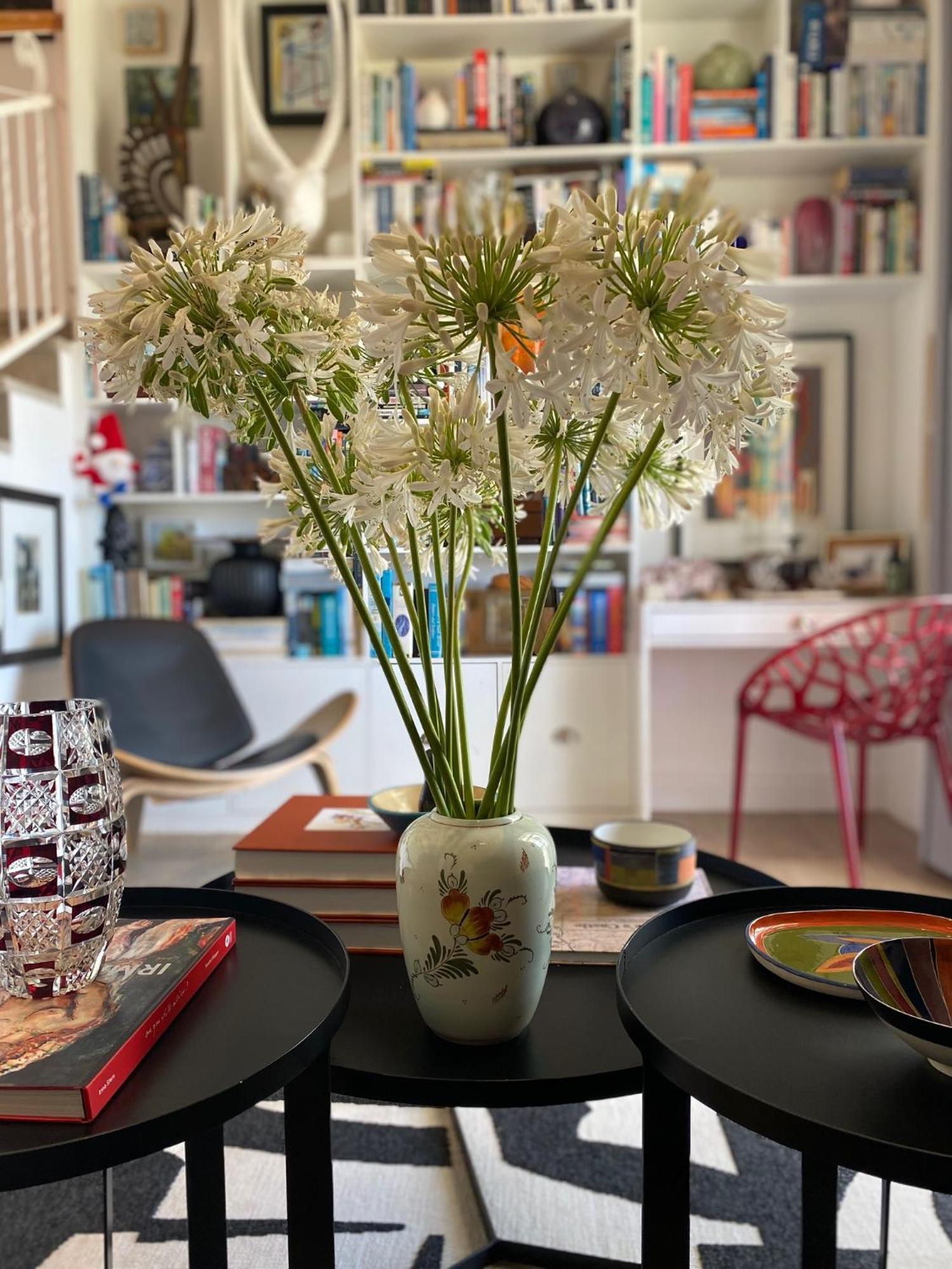 1 Royal Street Guesthouse Riebeek-Kasteel Dış mekan fotoğraf